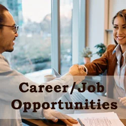 Career & Job